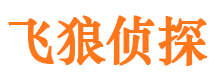 点军捉小三公司